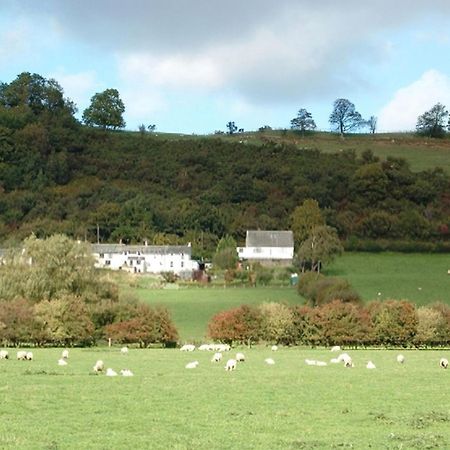 Osprey Cottage Bassenthwaite Eksteriør billede