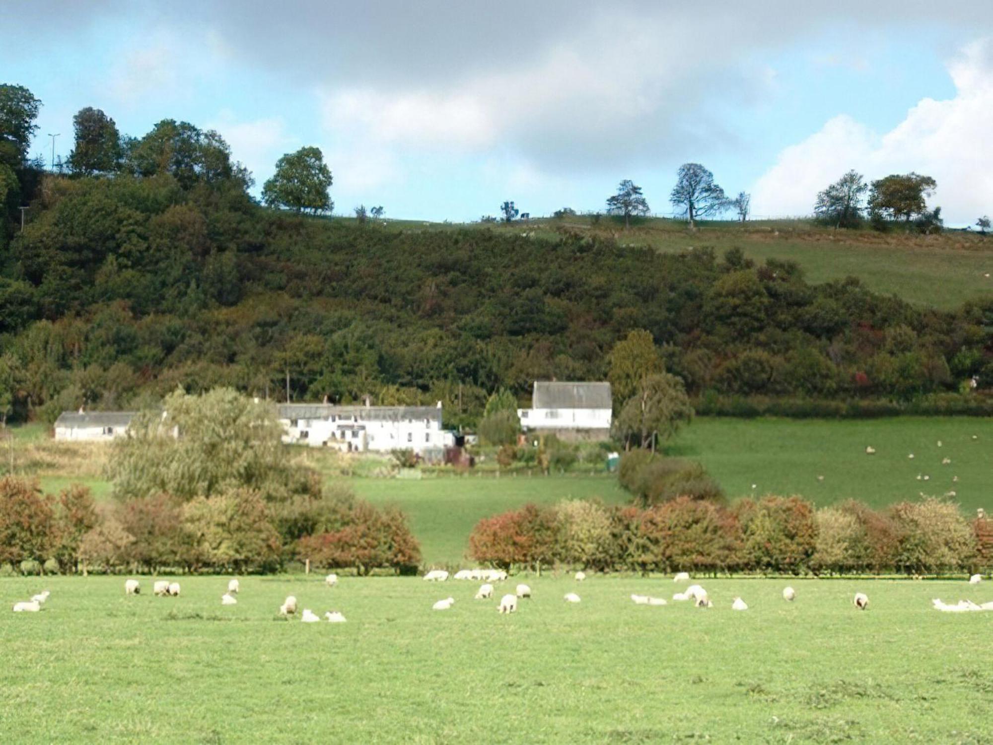 Osprey Cottage Bassenthwaite Eksteriør billede